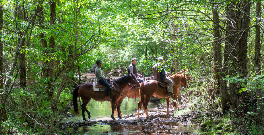 Barnsley Resort Horseback Riding Barnsley Resort Horseback Riding