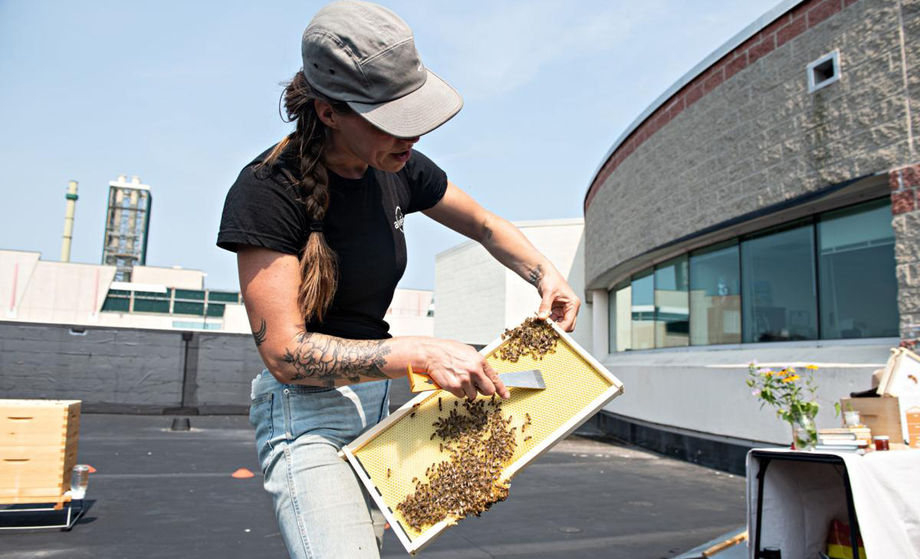 Meet AC Beekeeping