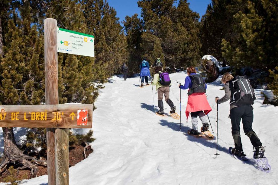 Catalonia ski
