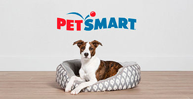 Pet Smart image 3