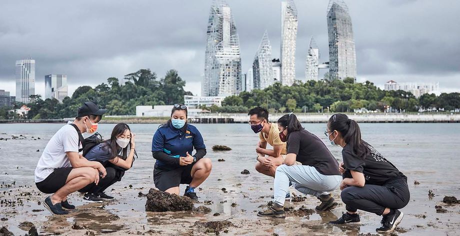 Singapore rev 4