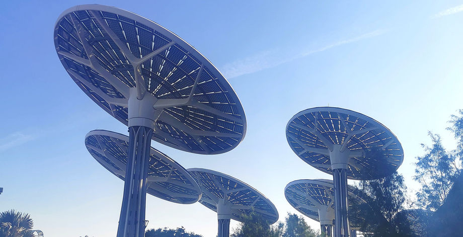 Dubai Solar sunflowers