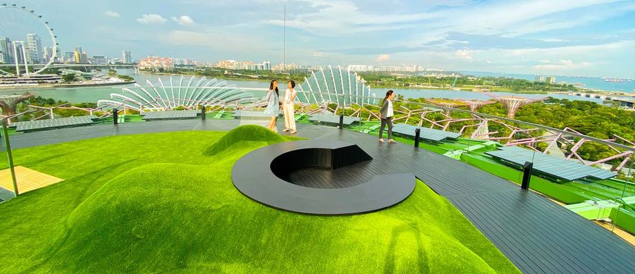 Singapore supertree