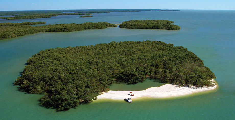 Florida Paradise Coast image 4