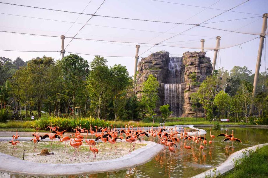 Singapore Mandai Wildlife Preserve