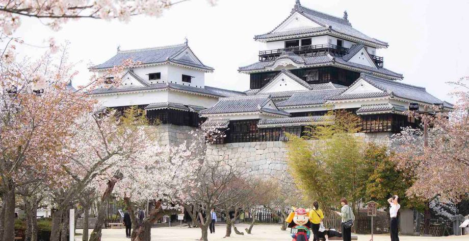Japan culture