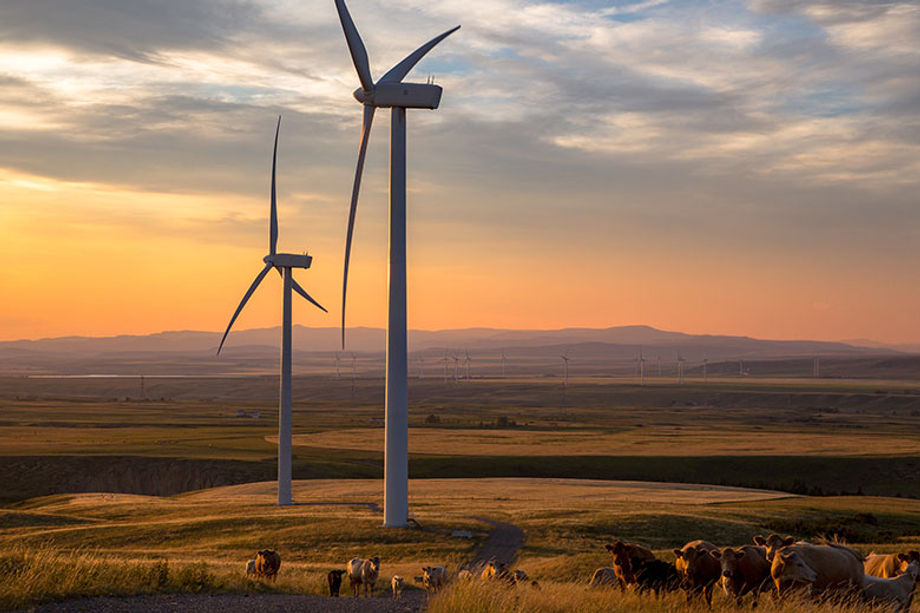 Though known for its robust oil and gas industry, Calgary is a leader in the development of alternative energy and non-exploitive utilization of natural resources.