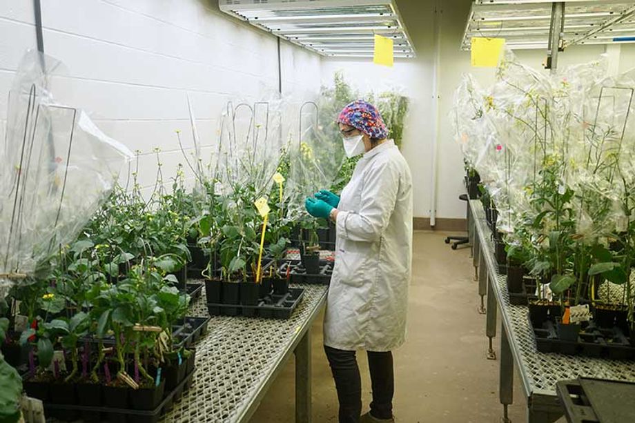 Winnipeg includes 1,800 agribusiness establishments and seven post-secondary educational institutions supporting the sector.