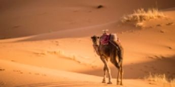 All About Dubai