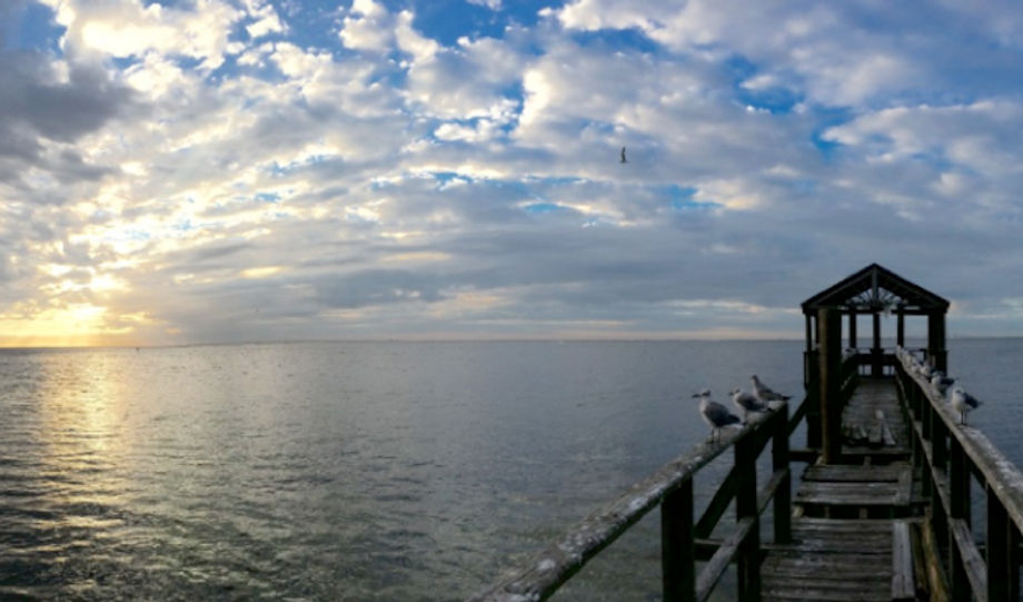 stpetebeach stpetebeach
