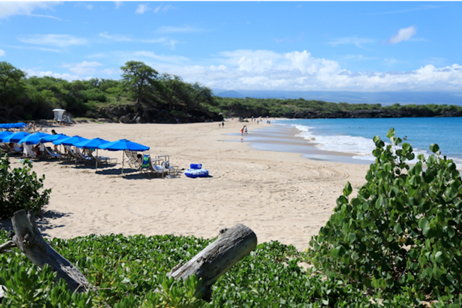 hapunabeach hapunabeach