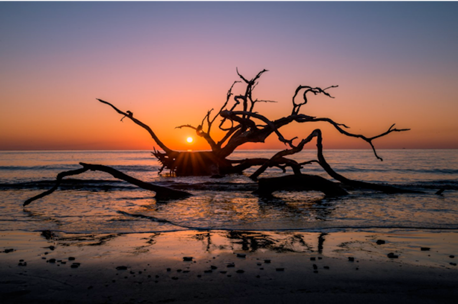 driftwoodbeach driftwoodbeach