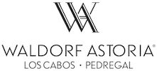 Waldorf Logo 1