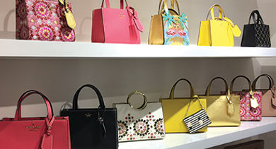 kate-spade-handbag-incentive