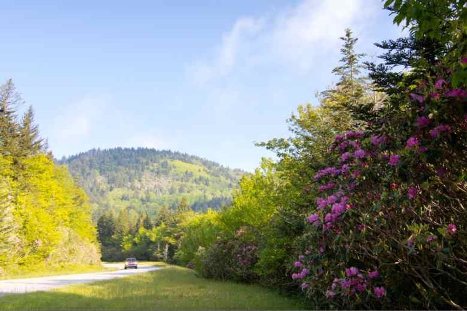 Few drives are as beautiful as the one along the Blue Ridge Parkway.
