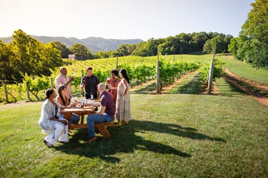 Groups can leverage a range of outdoor venues and experiences when visiting Asheville.