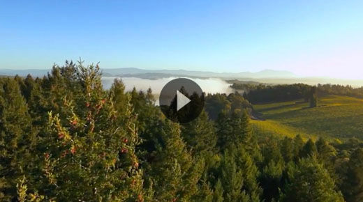 Sonoma County