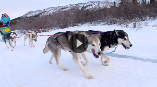 Destination Canada: Incentives
