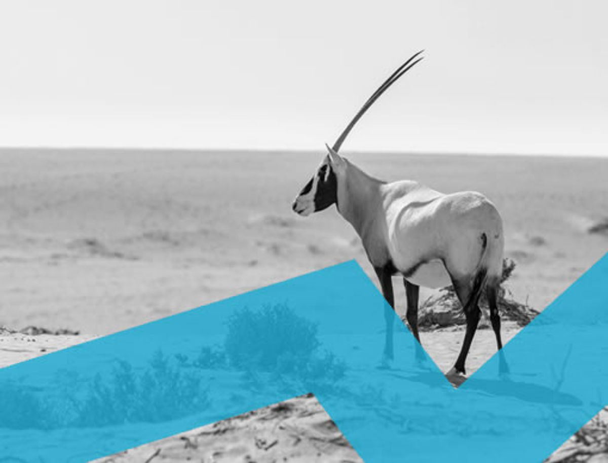 Middle East Travel Market Report 2021 2025: Phocuswright
