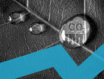 Green Dilemma: How Cutting Emissions Cuts Into Corporate Travel Green Dilemma: How Cutting Emissions Cuts Into Corporate Travel