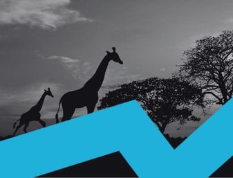 Online Travel Tracker: South African Spectrum