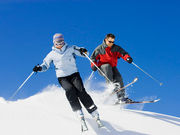 Skier & Ski Traveler Study Skier & Ski Traveler Study