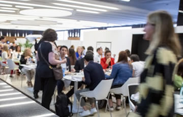 Networking Lunch - Tuesday