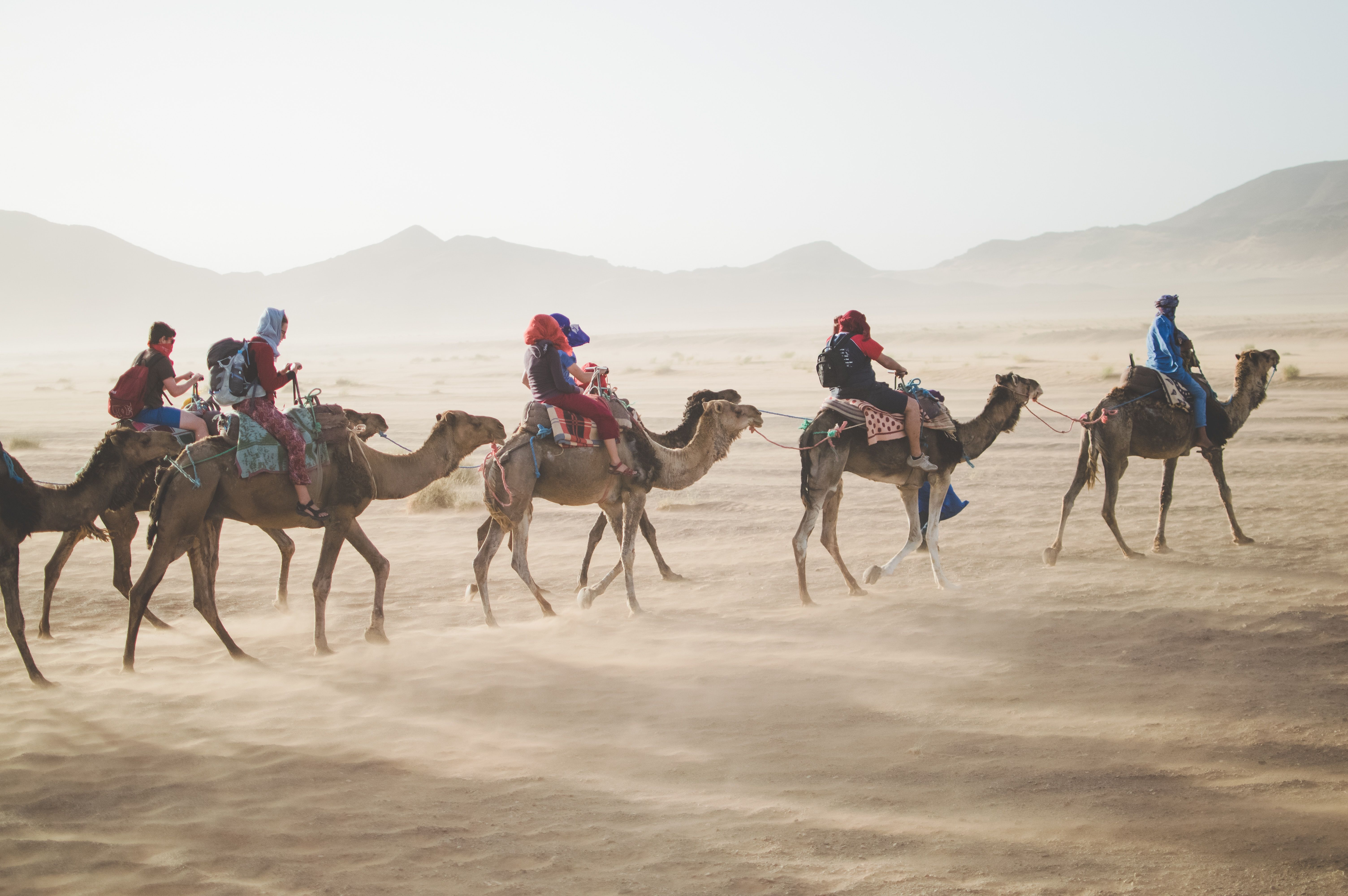 Why activities should focus on providing an omnichannel experience