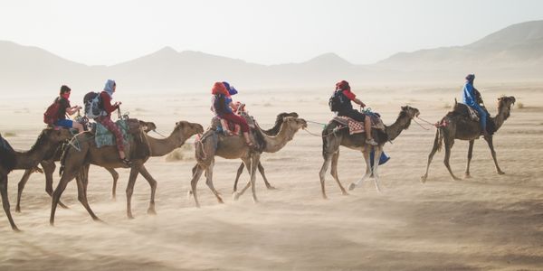 Why activities should focus on providing an omnichannel experience
