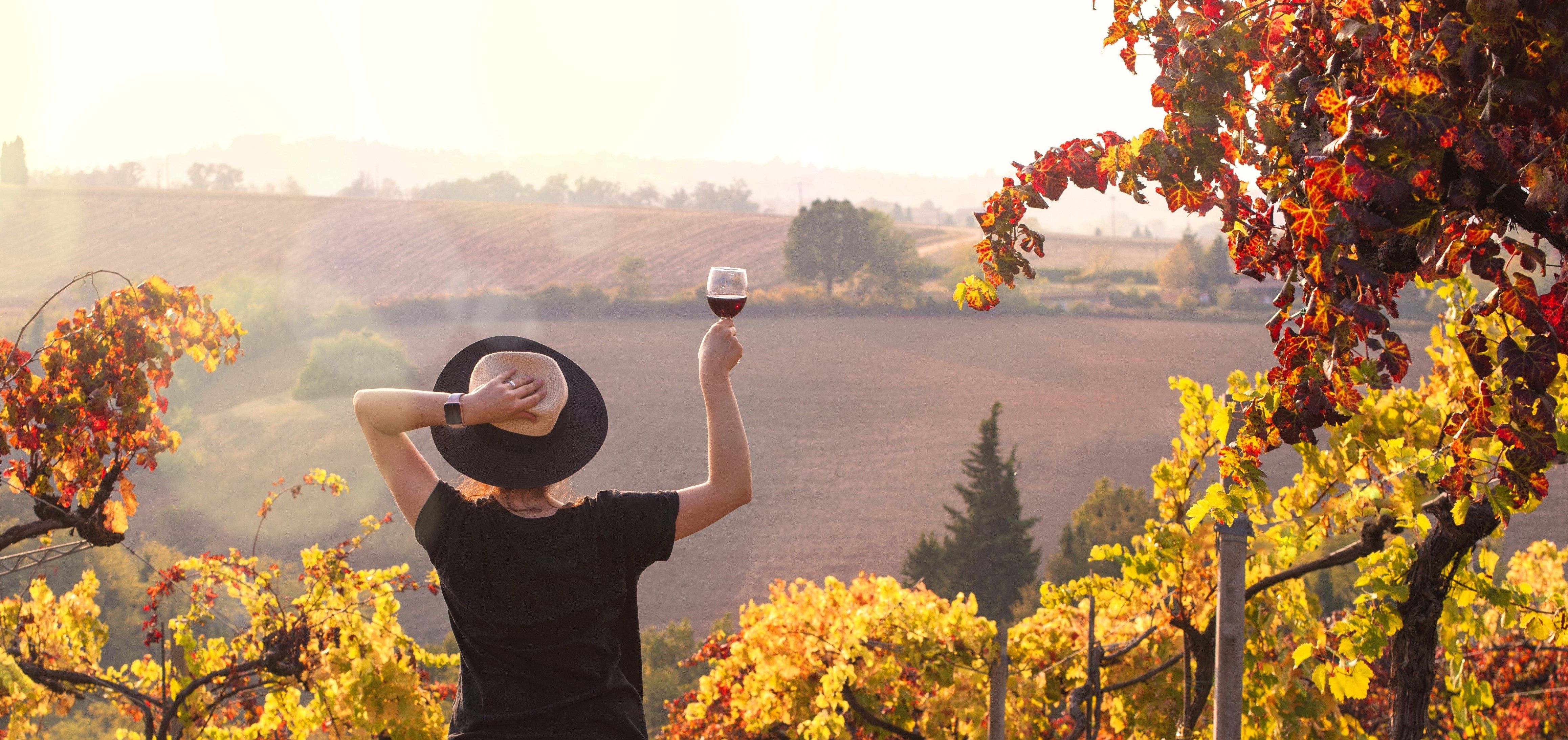 startup-stage-wknd-main