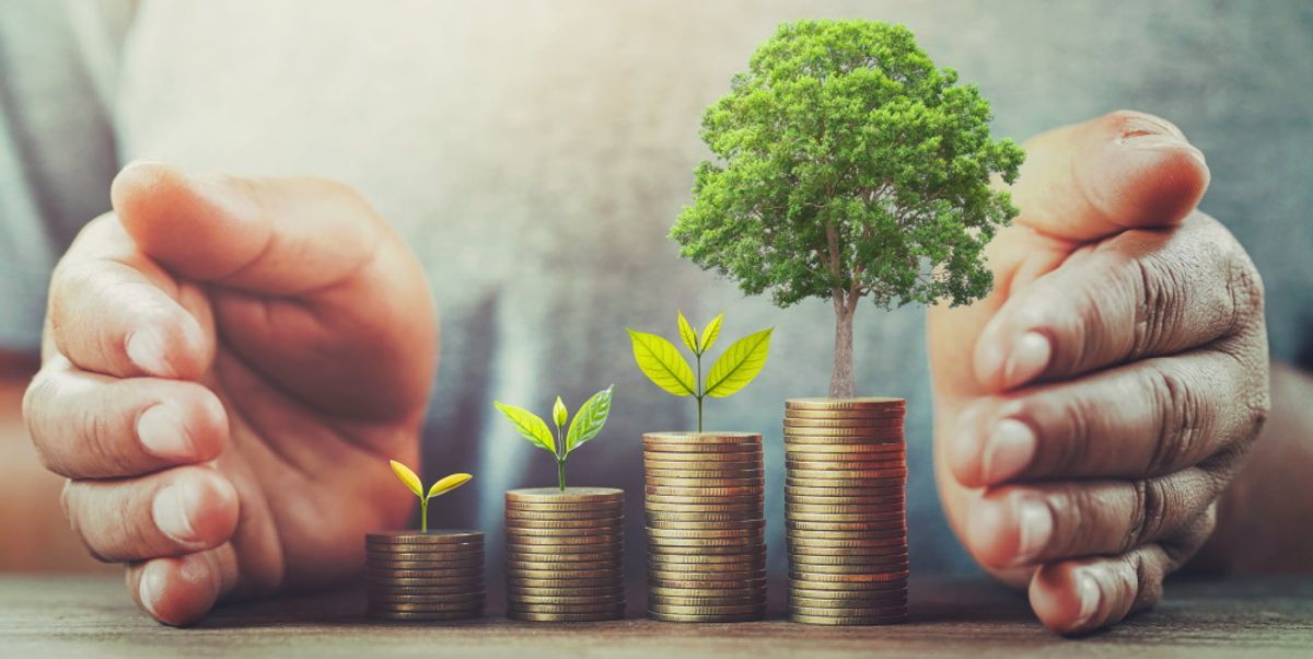 Travel investors remain bullish despite headwinds