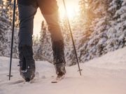 STARTUP STAGE: Wertu uses artificial intelligence to improve sports travel itineraries