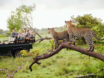 Startup Stage: Safari Circle takes a matchmaking approach to safari planning