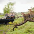 Startup Stage: Safari Circle takes a matchmaking approach to safari planning