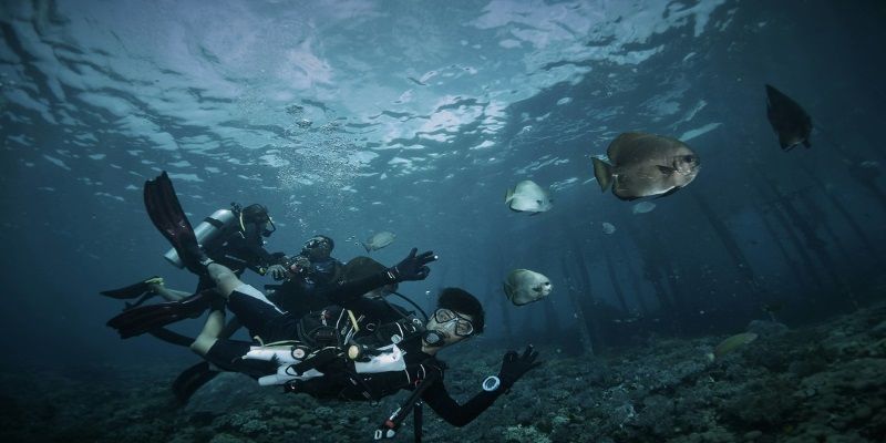 STARTUP STAGE: DeepBlu aims to be the Airbnb of diving
