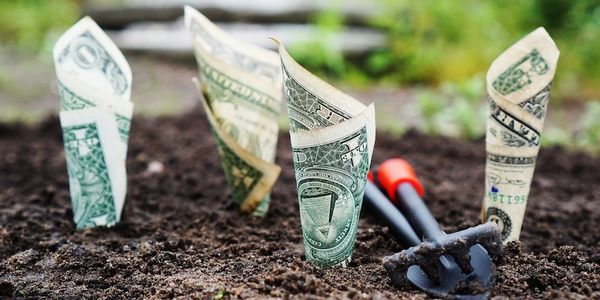 startup-investment