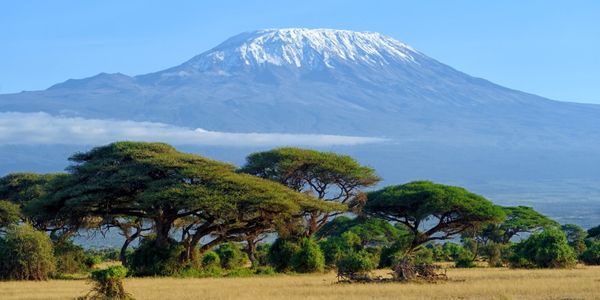 The big ask: A Kilimanjaro pledge