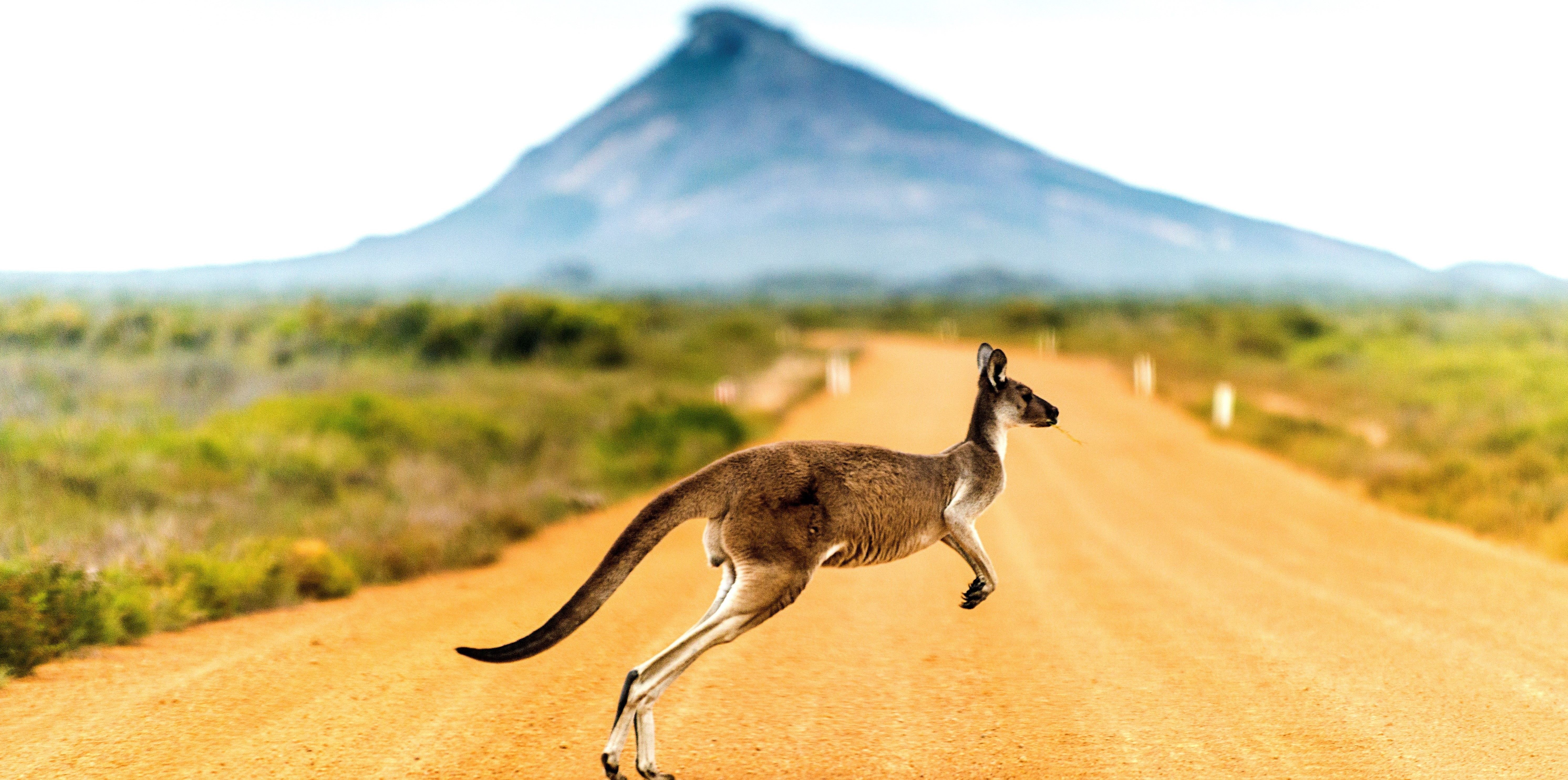 Pickyourtrail Tourism Australia partnership