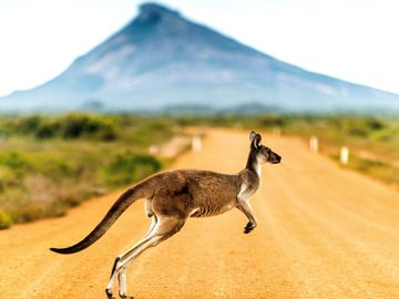  alt="Pickyourtrail Tourism Australia partnership"  title="Pickyourtrail Tourism Australia partnership" 