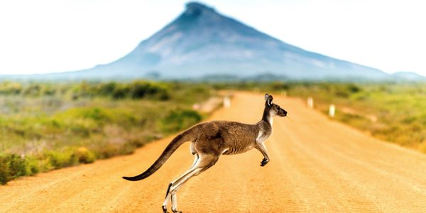 Pickyourtrail Tourism Australia partnership