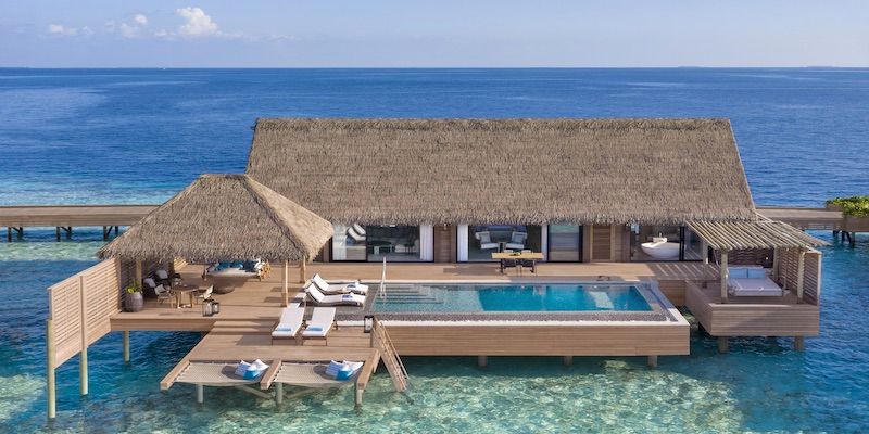 hilton-q2-2019-loyalty