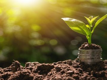 Travel payments, part 4: Hopes and hurdles for startups Travel payments, part 4: Hopes and hurdles for startups