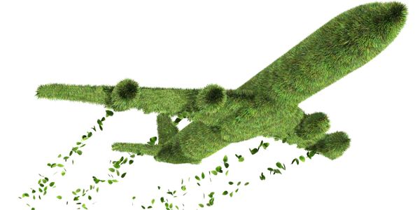 tripactions carbon impact data