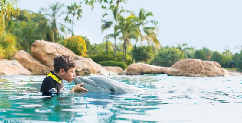 TripAdvisor axes tickets to whale and dolphin parks