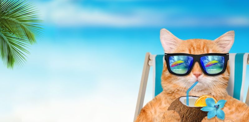 InPhocus, episode 23 - Time spent with Katz is never wasted