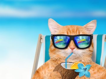 InPhocus, episode 23 - Time spent with Katz is never wasted InPhocus, episode 23 - Time spent with Katz is never wasted