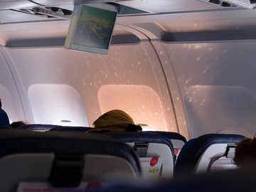 airline-add-ons-revenue-2019 airline-add-ons-revenue-2019