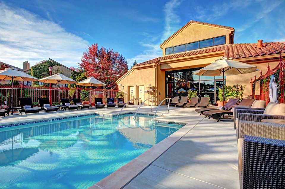 Travelzoo-earnings-2019