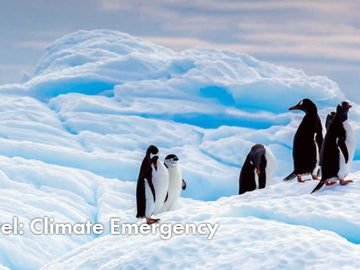  alt='Travel and tourism organizations push for action on climate emergency'  Title='Travel and tourism organizations push for action on climate emergency' 