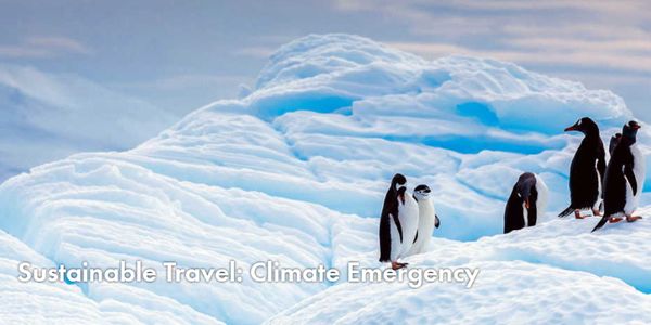 Travel and tourism organizations push for action on climate emergency